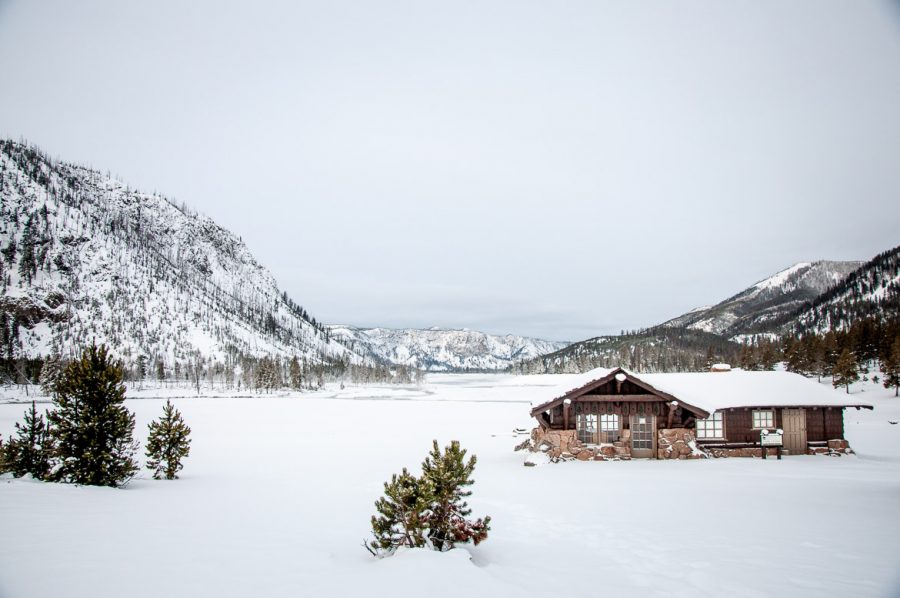 Yellowstone National Park Is Even More Magical In Winter Than Summer