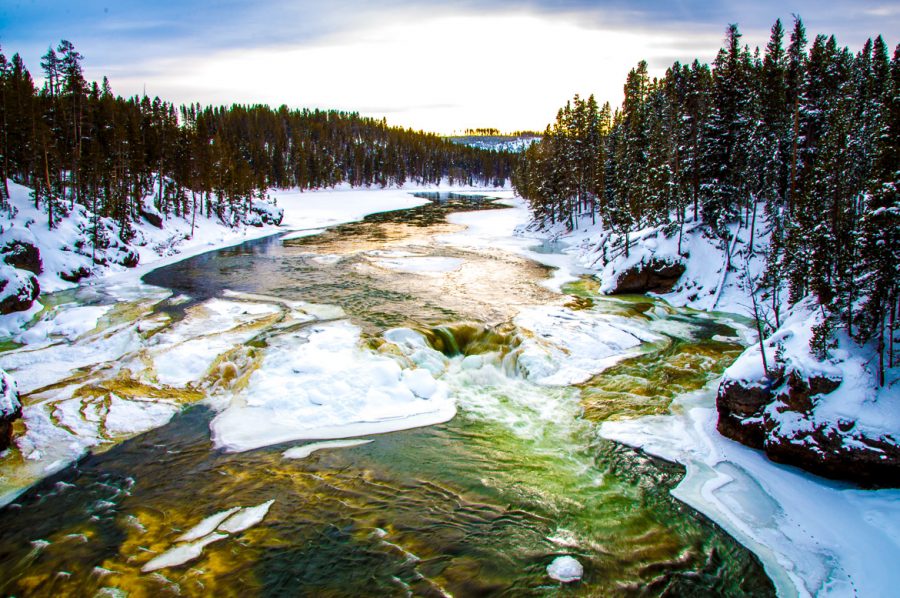 Yellowstone National Park Is Even More Magical In Winter Than Summer