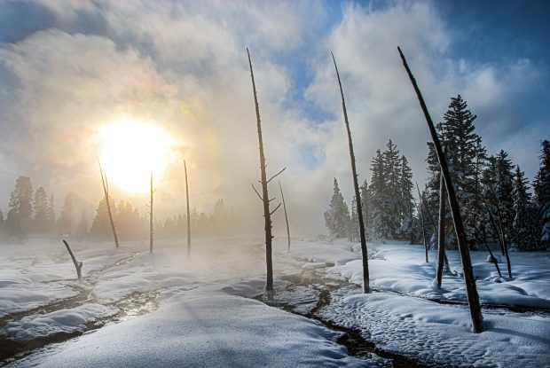 Yellowstone National Park Is Even More Magical In Winter Than Summer