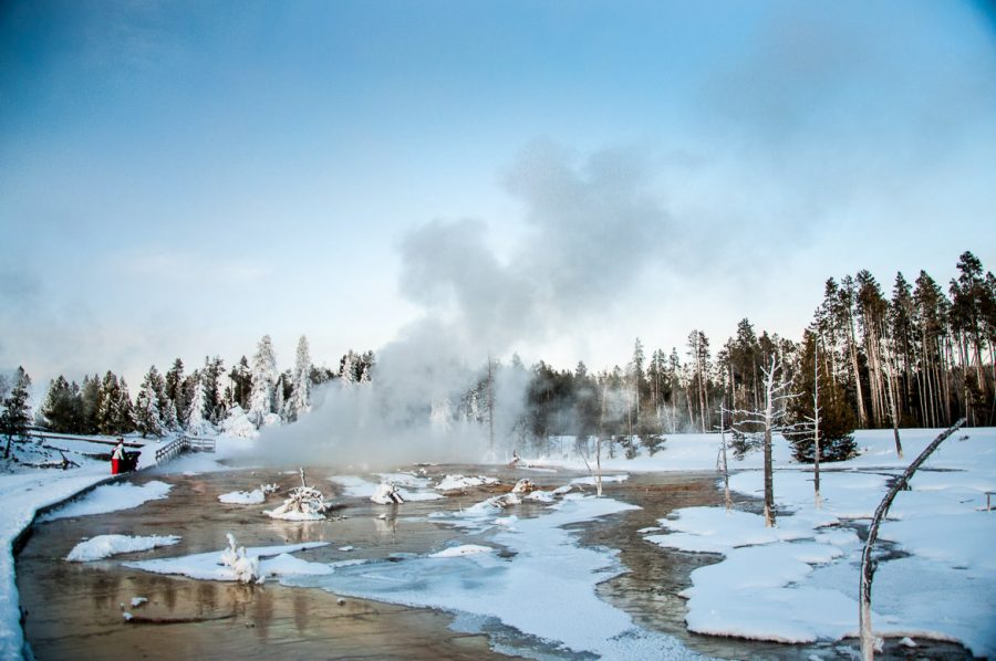 Yellowstone National Park Is Even More Magical In Winter Than Summer